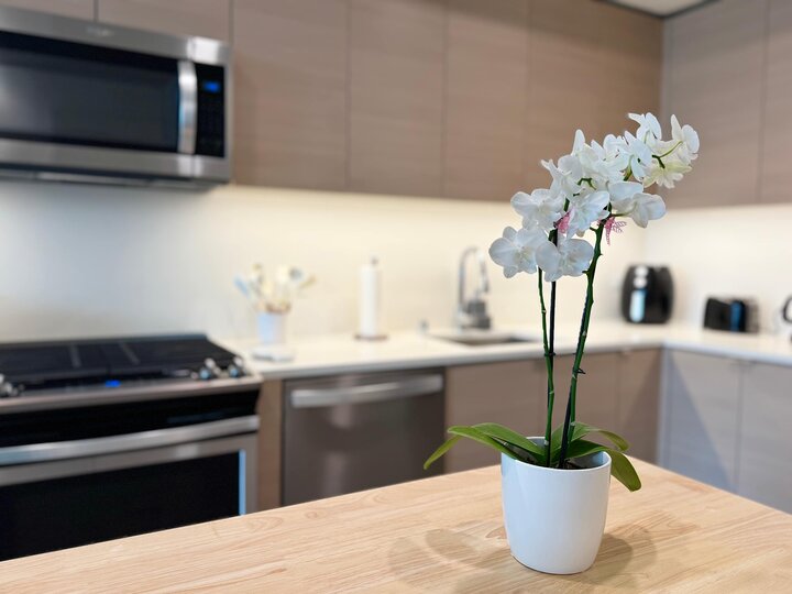 Apartment in San Diego, US