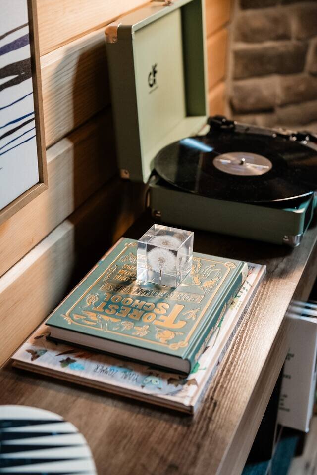 Cabin in McHenry, US