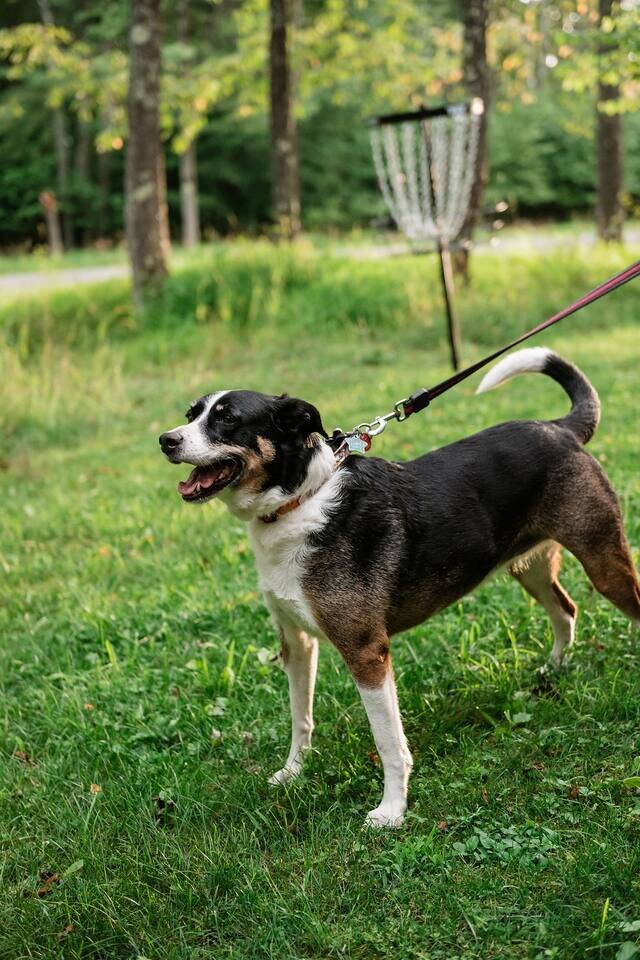 Cabin in McHenry, US