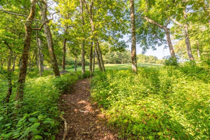 House in Nellysford, US