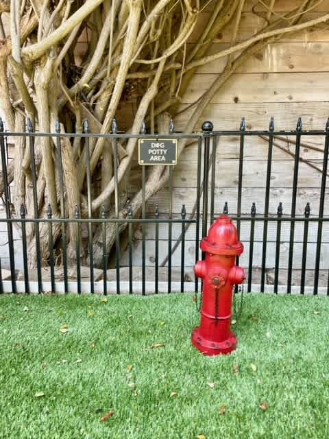 House in San Diego, US