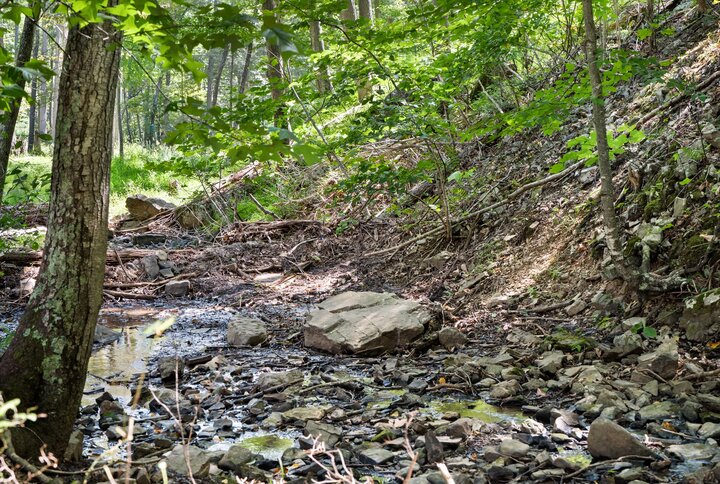 Chalet in Mathias, US
