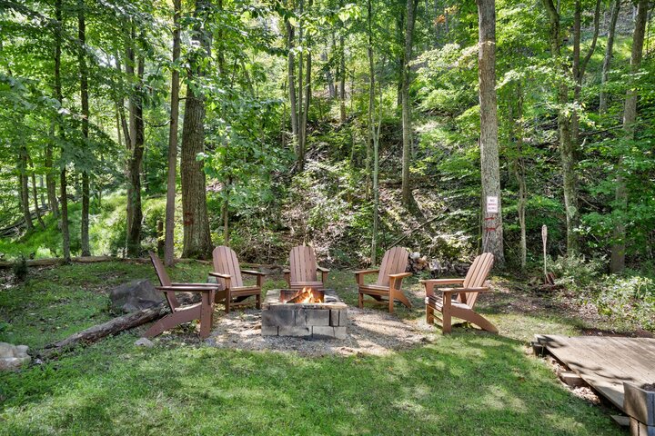 Chalet in Mathias, US