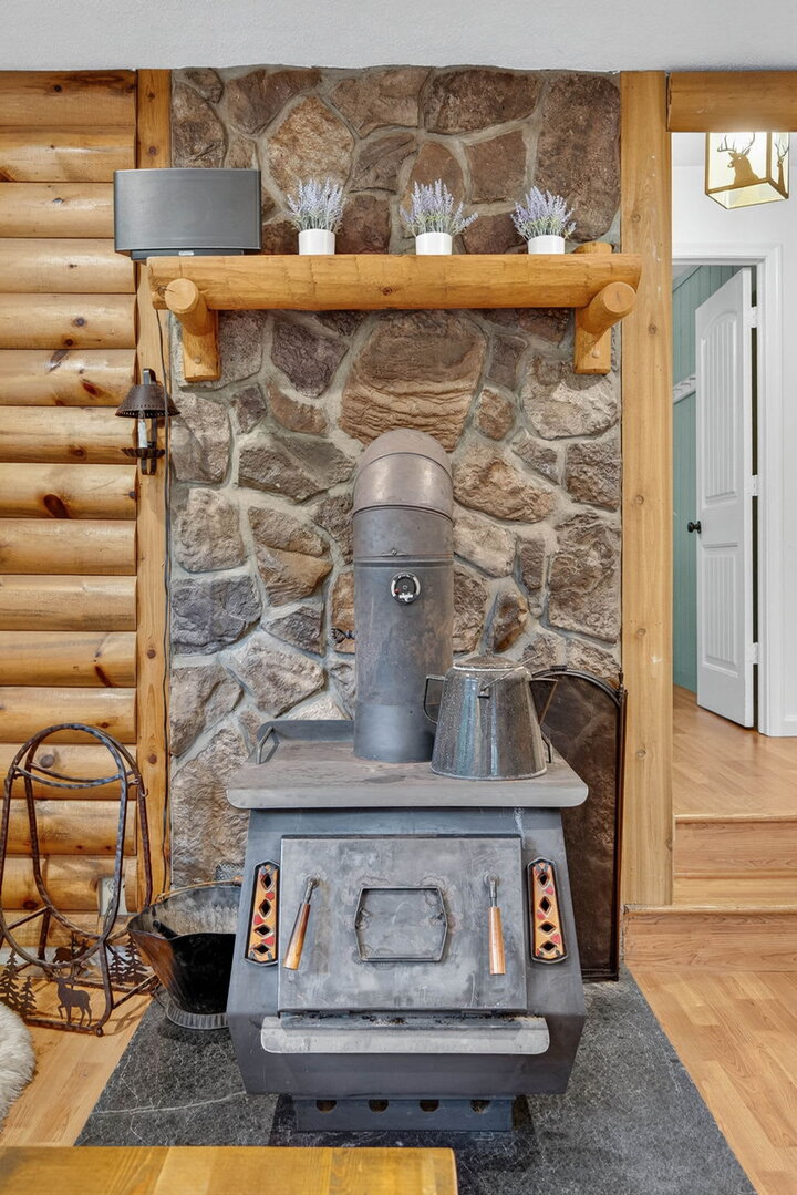 Chalet in Mathias, US