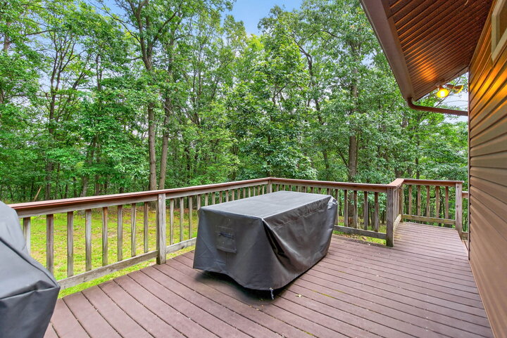 Chalet in Mathias, US