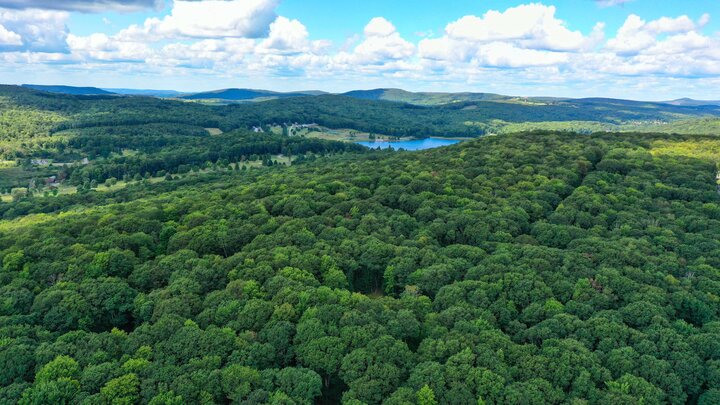 Cabin in Terra Alta, US