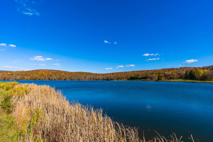 Cabin in Terra Alta, US