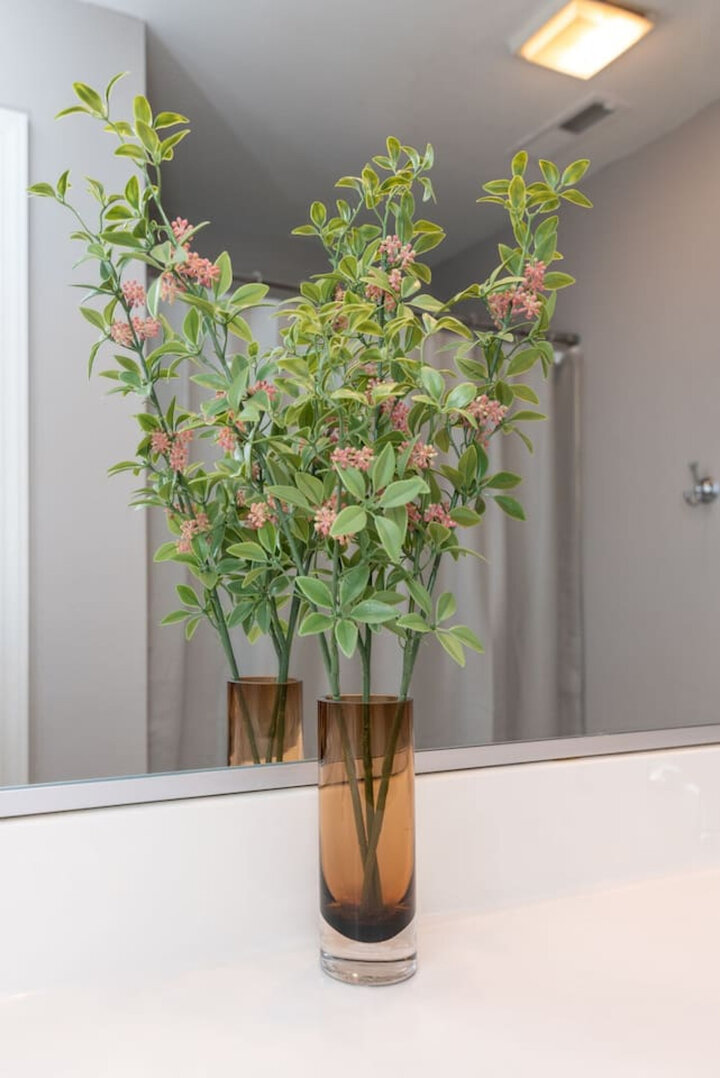 House in Greensboro, US