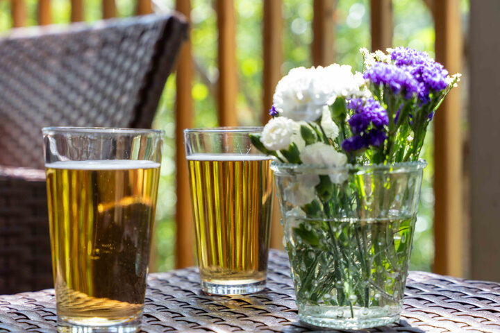 House in Asheville, US