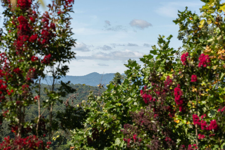 House in Asheville, US