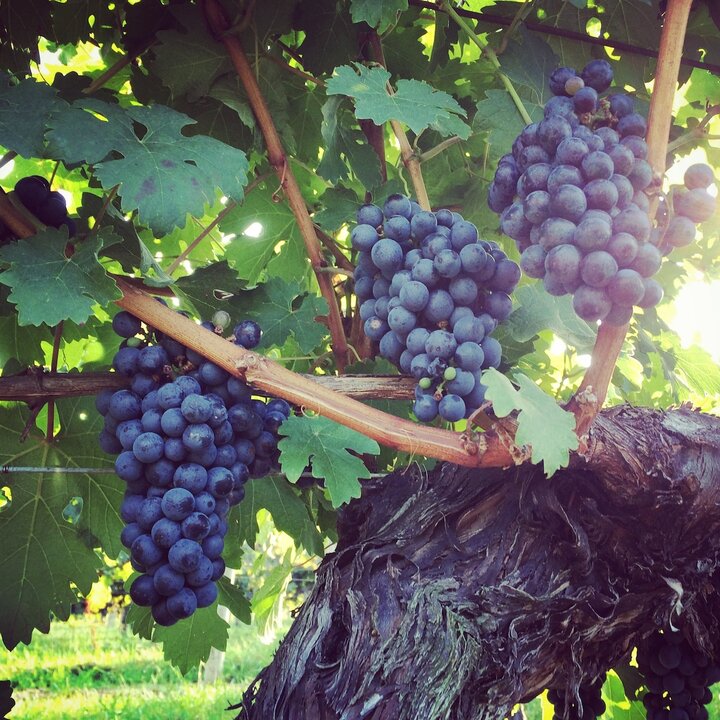 Cabin in Colonial Beach, US