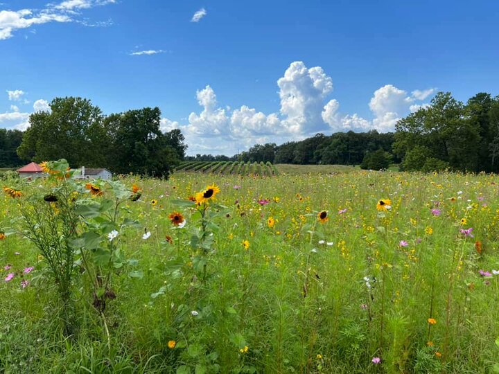 Cabin in Colonial Beach, US