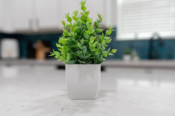 Rental unit in Austin, US