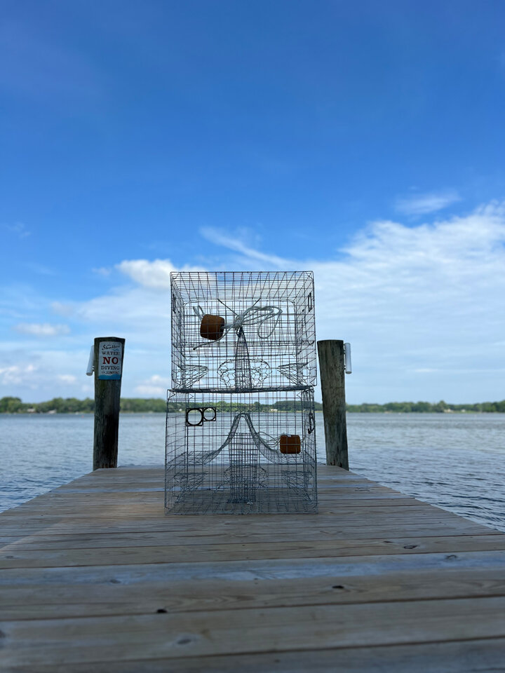 House in Montross, US