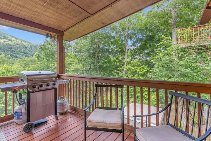 House in Black Mountain, US