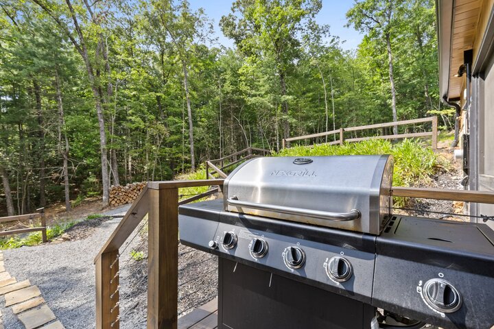 Cabin in Morganton, US