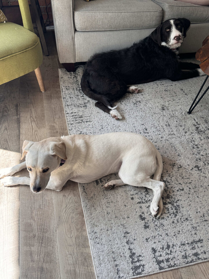 Townhouse in Pigeon Forge, US