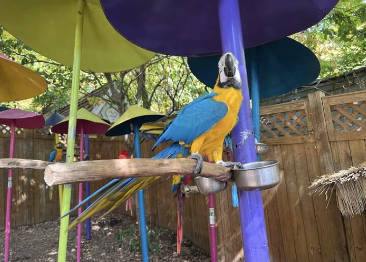 Townhouse in Pigeon Forge, US