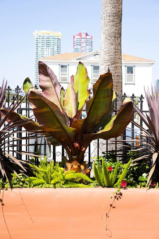 Home in San Diego, US