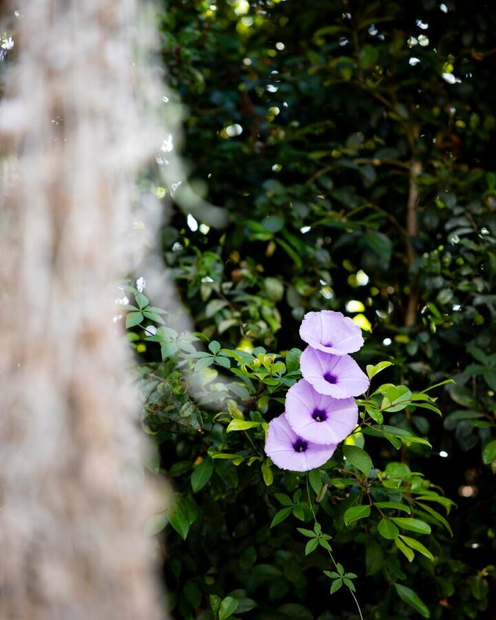 Home in San Diego, US