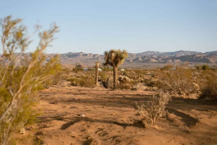 House in Joshua Tree, US
