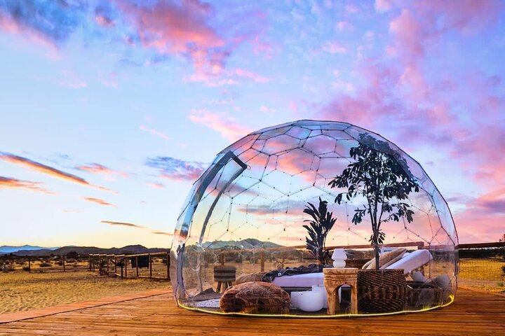House in Joshua Tree, US