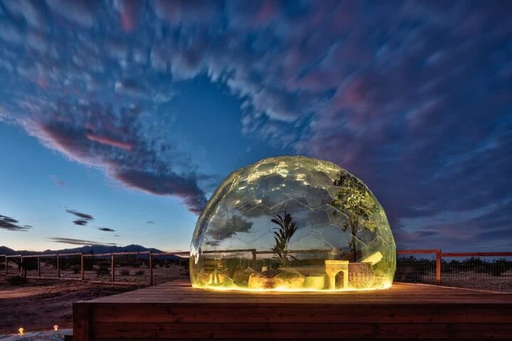 House in Joshua Tree, US