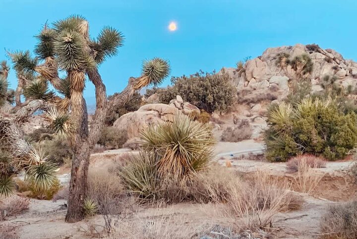 House in Yucca Valley, US