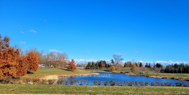 House in Middletown, US