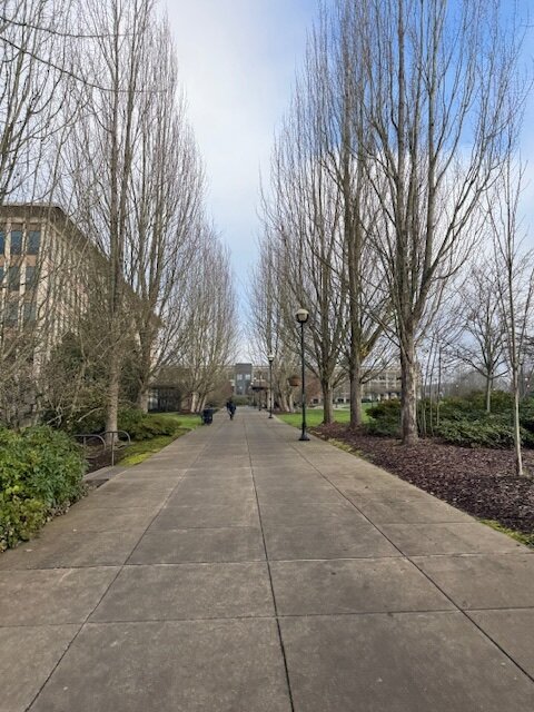 House in Olympia, US