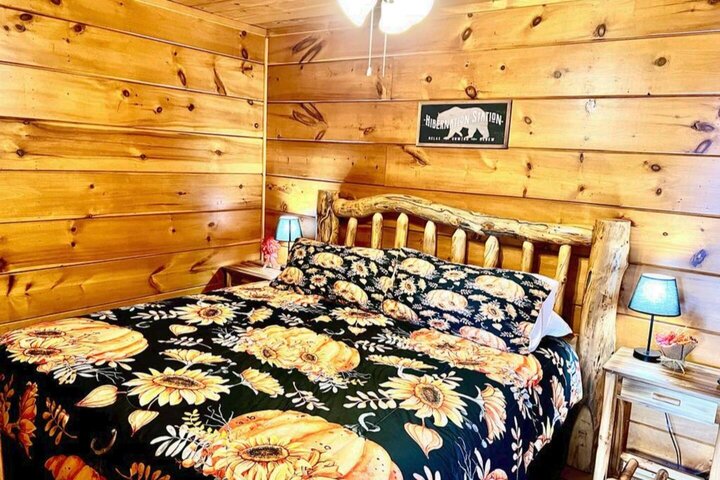 Cabin in Sevierville, US