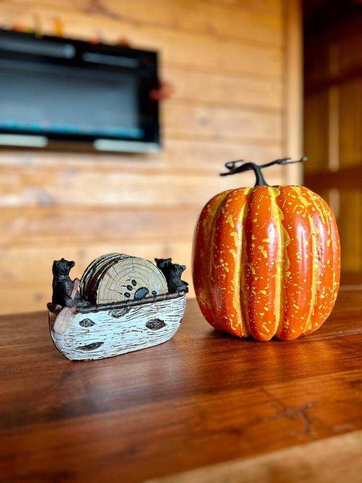 Cabin in Sevierville, US