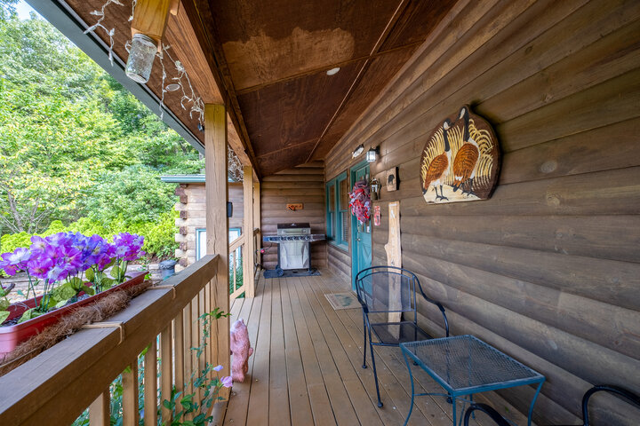 Cabin in Bryson City, US
