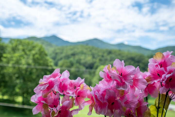 Cabin in Bryson City, US