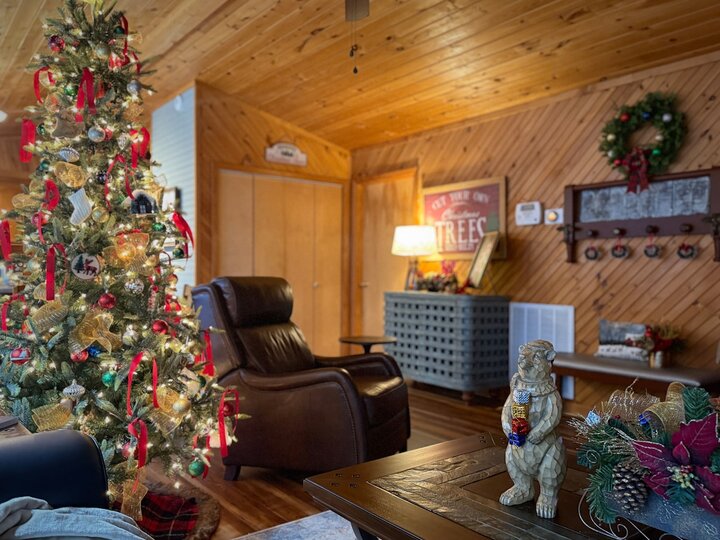 Cabin in Bryson City, US