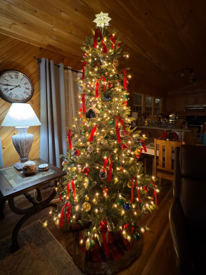 Cabin in Bryson City, US