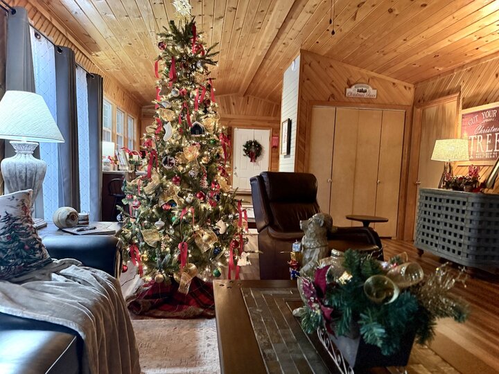 Cabin in Bryson City, US