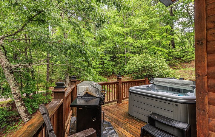 Cabin in Bryson City, US