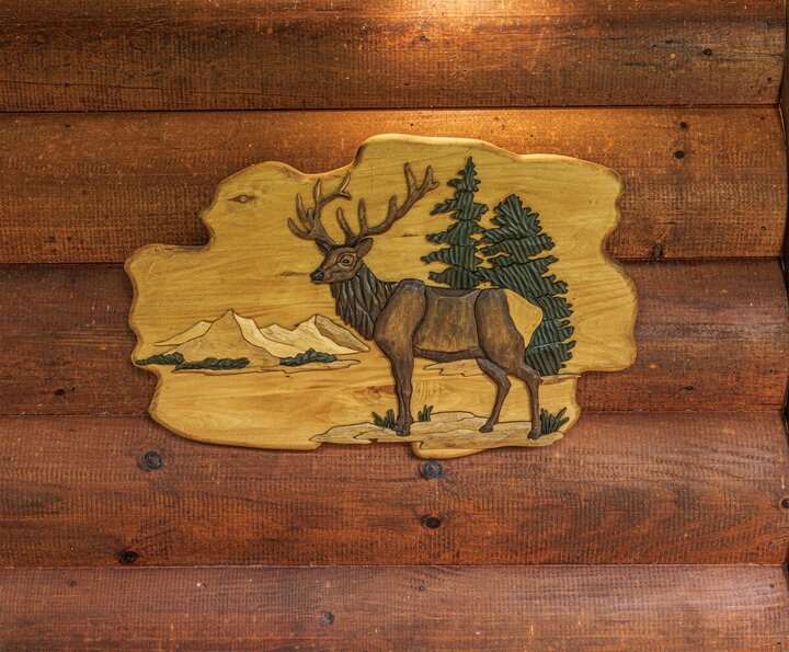 Cabin in Bryson City, US