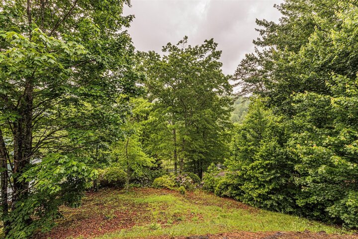 Cabin in Bryson City, US
