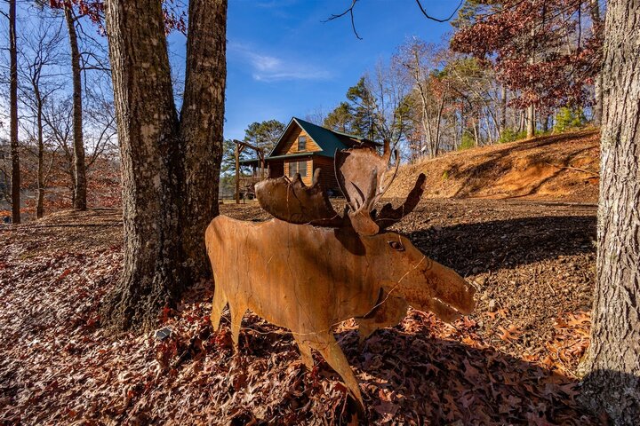 Cabin in Bryson City, US