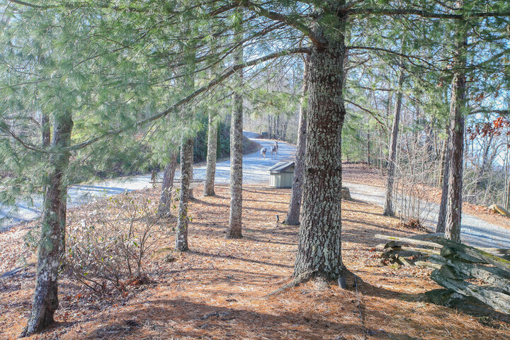 House in Bryson City, US