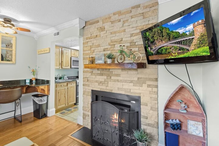 Condo in Gatlinburg, US