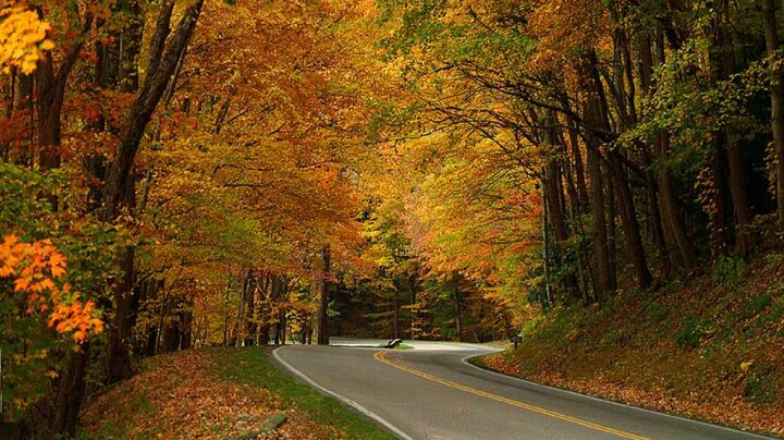 Condo in Gatlinburg, US