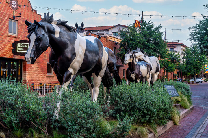 House in Fort Worth, US
