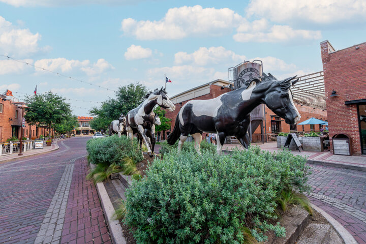 House in Fort Worth, US