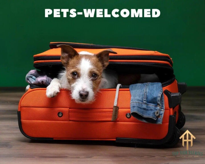 House in Arlington, US