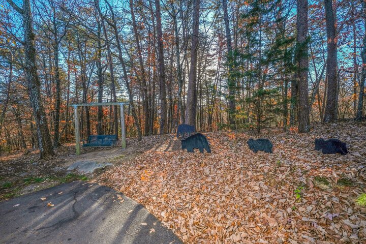 Cabin in Pigeon Forge, US