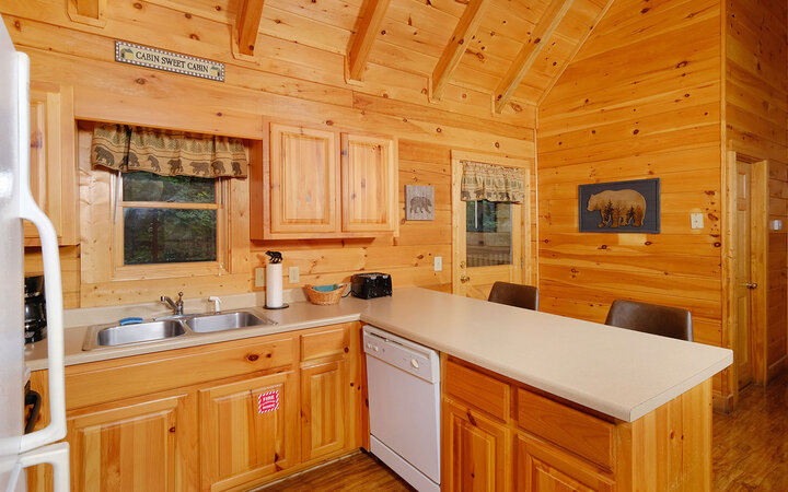 Cabin in Pigeon Forge, US