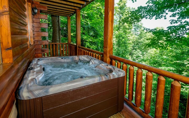 Cabin in Gatlinburg, US